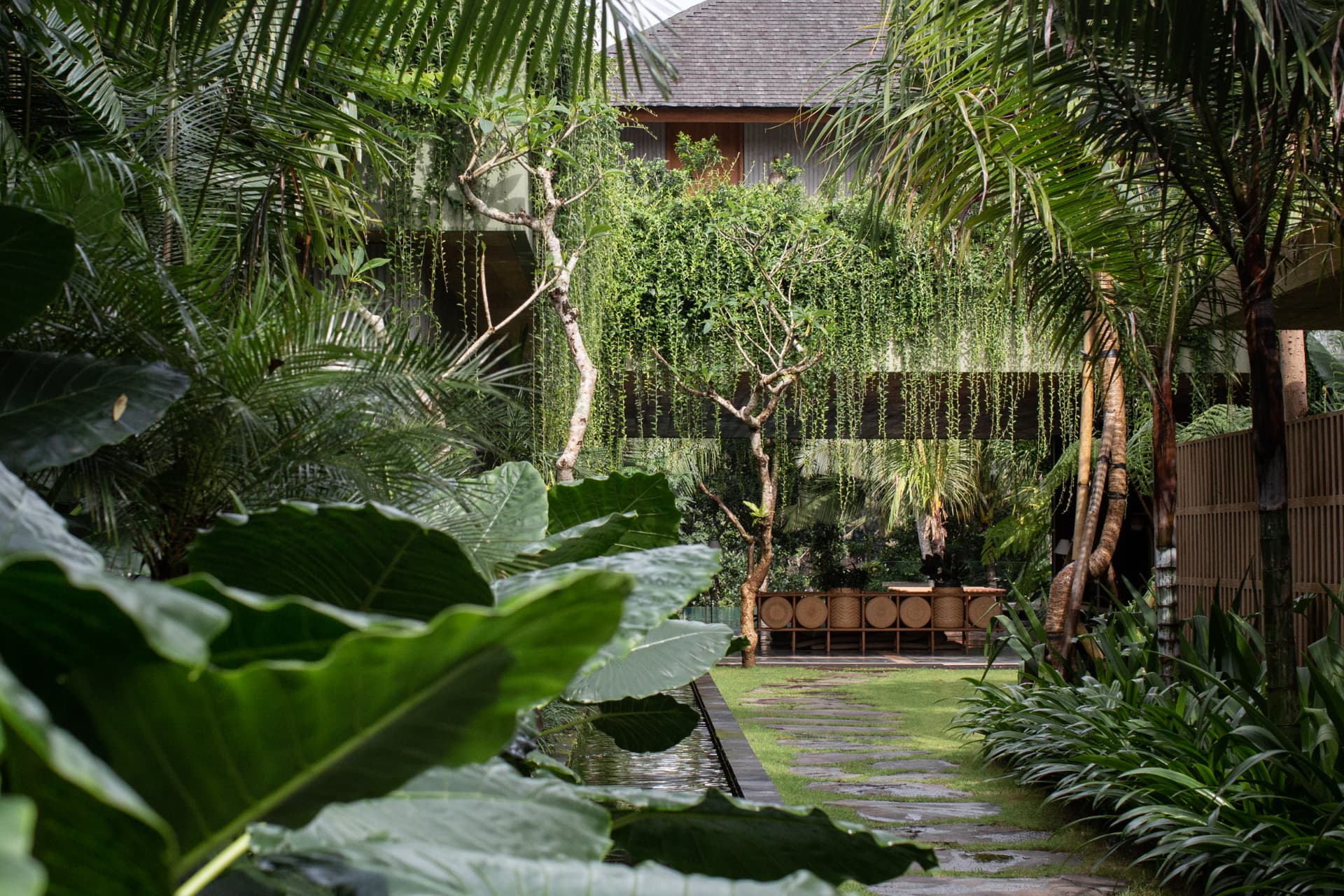 Planted courtyard with a reflecting channel and shingle roof