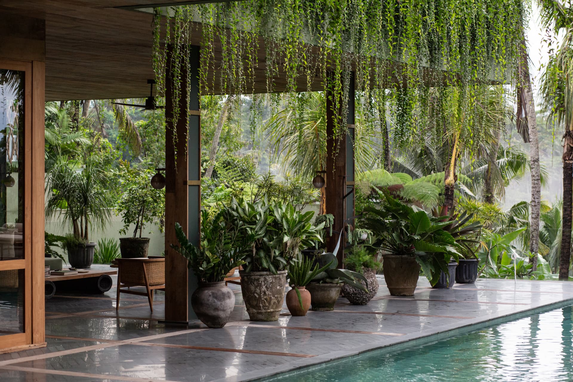 Poolside terrace with potted planting and timber columns