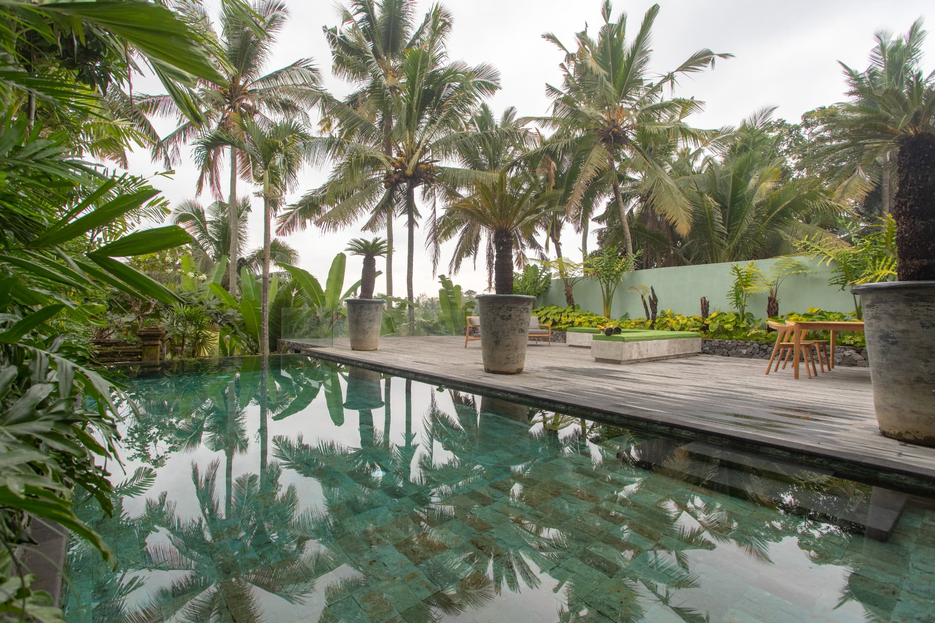 Ubud 2 — pool deck framed by coconut palms