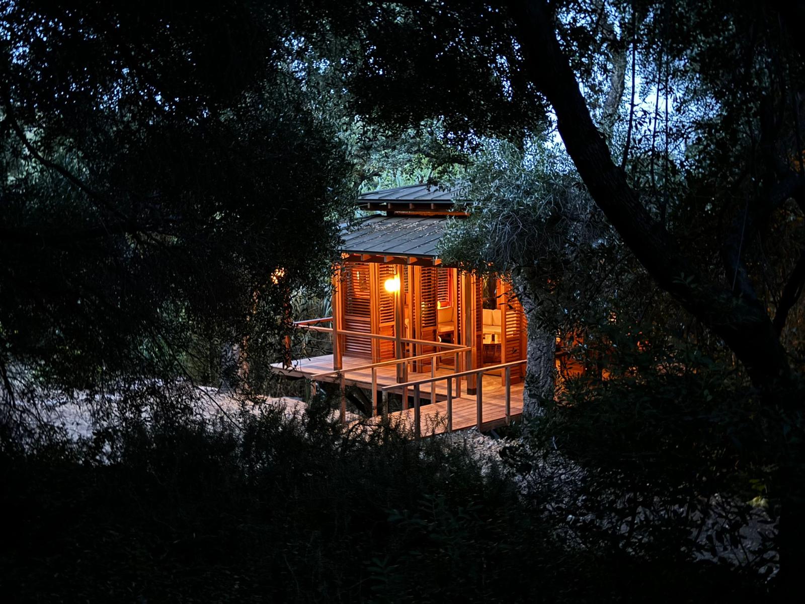 Tea House — lit timber pavilion seen through the trees at dusk