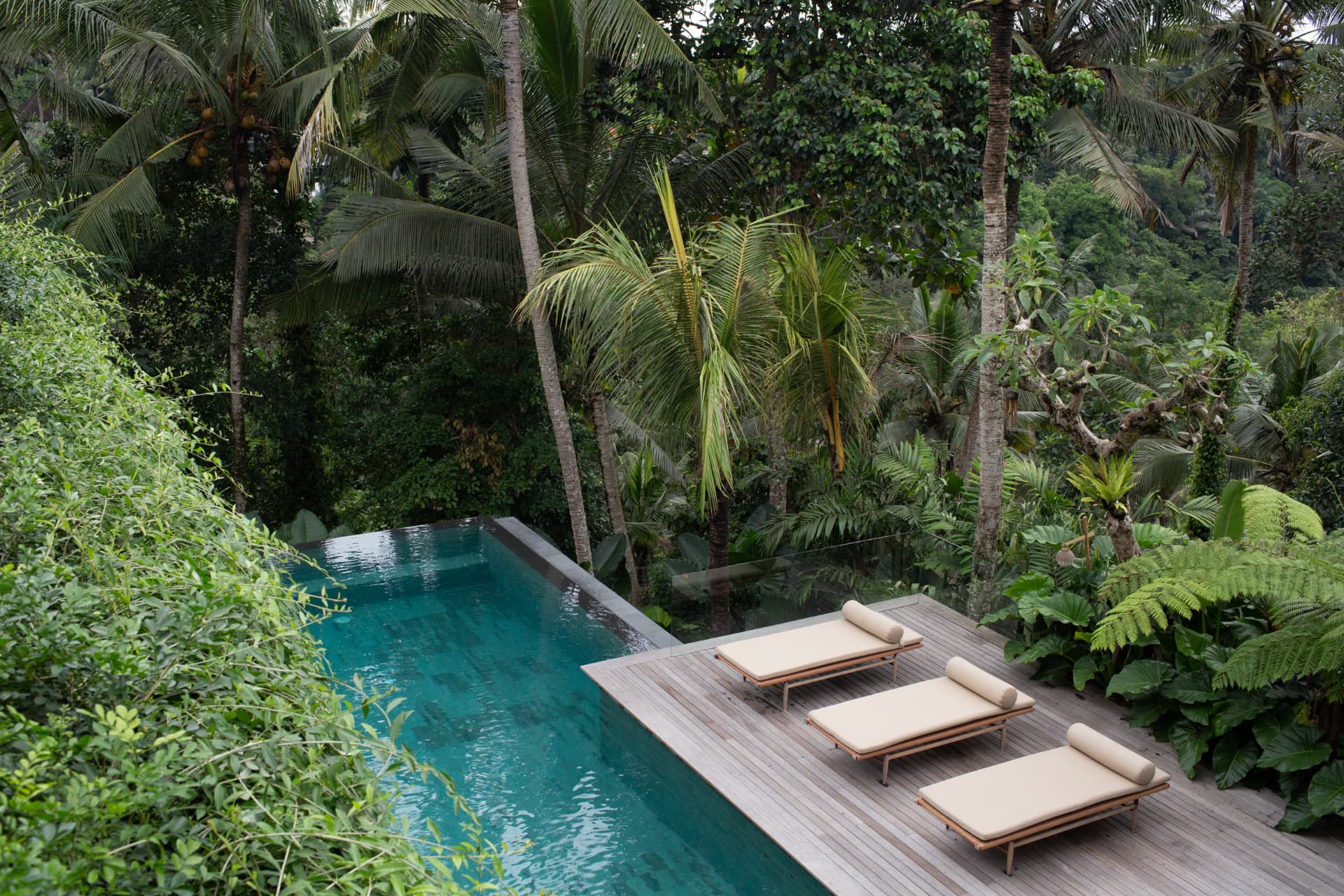 Infinity pool and timber sun deck above a jungle valley
